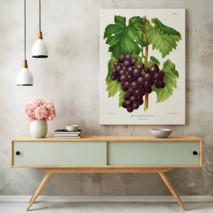 Vintage Grapes Print – Botanical Art by A. J. Wendel