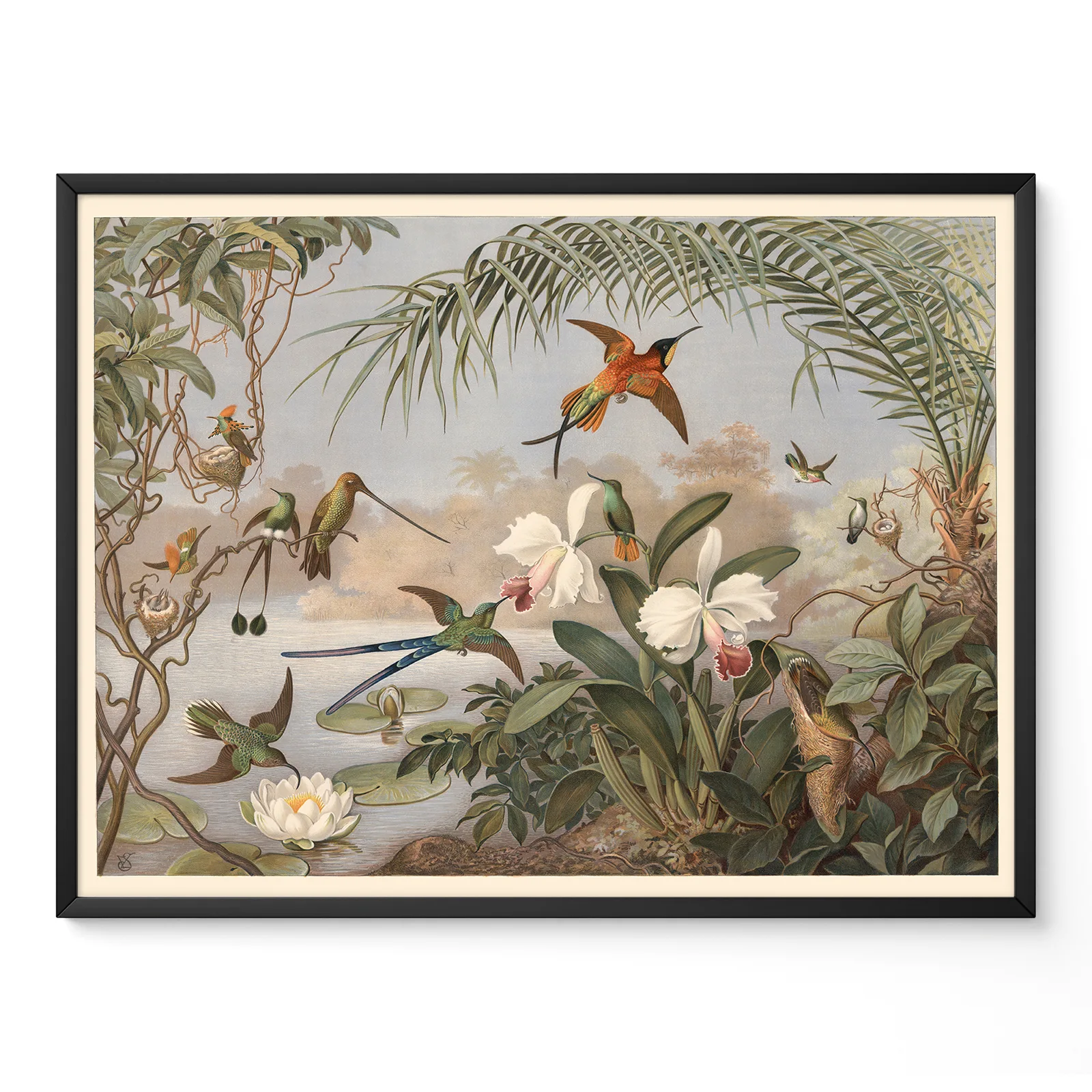 Vintage Hummingbird Botanical Print