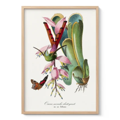 Vintage Hummingbird Wall Art by Paul Gervais