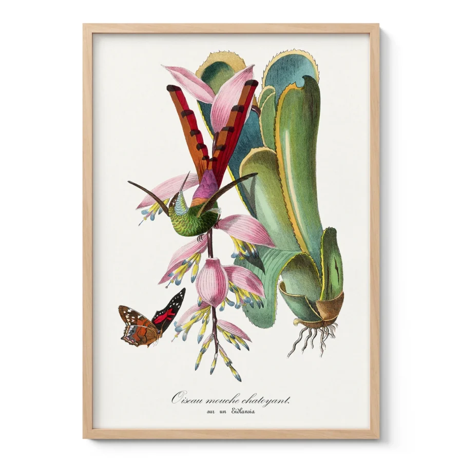 Vintage Hummingbird Wall Art by Paul Gervais