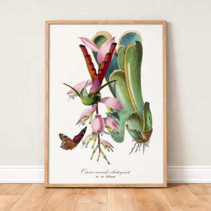 Vintage Hummingbird Wall Art by Paul Gervais
