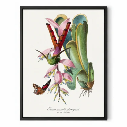 Vintage Hummingbird Wall Art by Paul Gervais