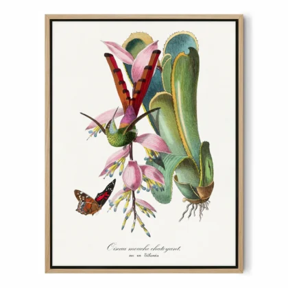 Vintage Hummingbird Wall Art by Paul Gervais