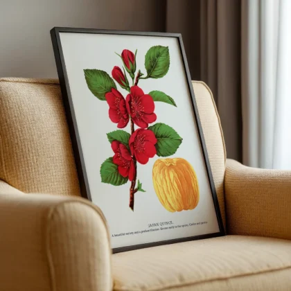 Vintage Japanese Quince Print – Botanical Art