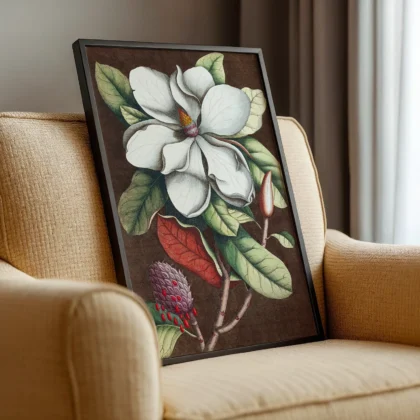 Vintage Magnolia Botanical Print