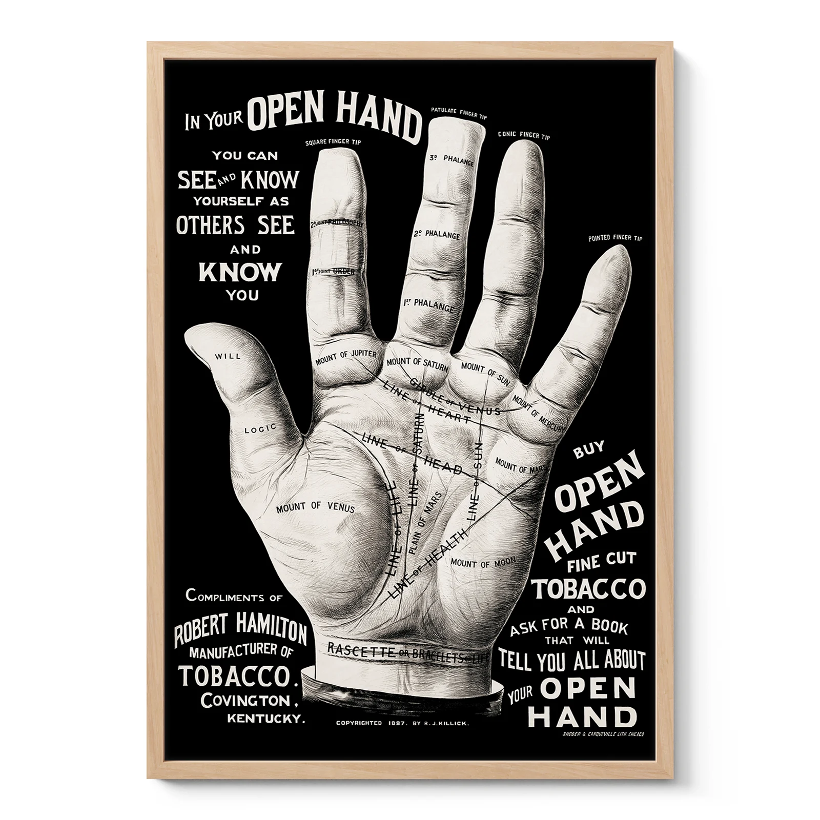 Vintage Palmistry Print – Hand Lines Wall Art