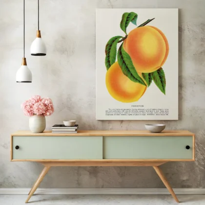 Vintage Peach Botanical Art Print