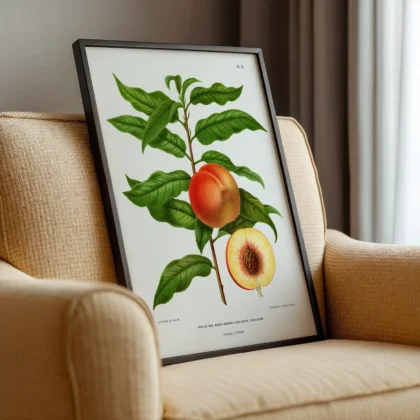 Vintage Peach Print – Botanical Art by A. J. Wendel