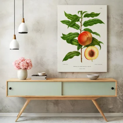 Vintage Peach Print – Botanical Art by A. J. Wendel