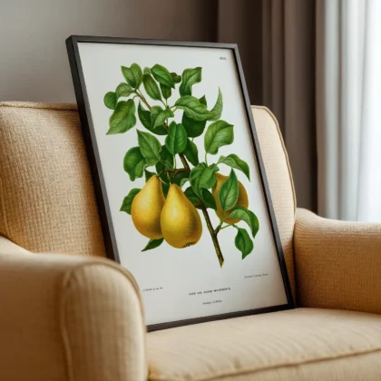 Vintage Pear Botanical Art Print by A. J. Wendel