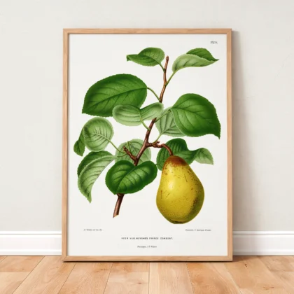 Vintage Pear Botanical Wall Art by A. J. Wendel