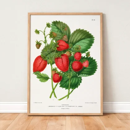 Vintage Strawberry Botanical Print