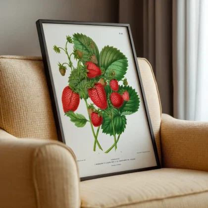 Vintage Strawberry Botanical Print