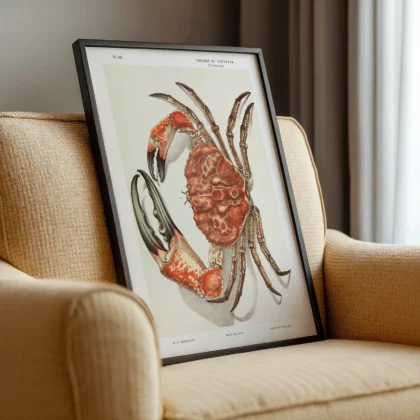 Vintage Tasmanian Giant Crab Wall Art by John James Wild