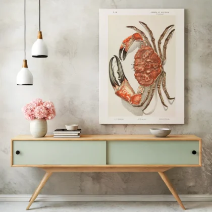 Vintage Tasmanian Giant Crab Wall Art by John James Wild