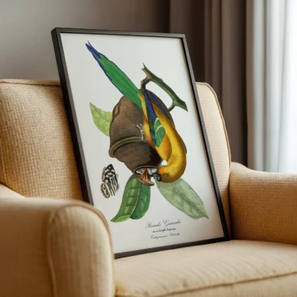 Vintage Tropical Bird Print by Paul Gervais