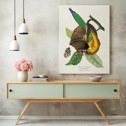 Vintage Tropical Bird Print by Paul Gervais