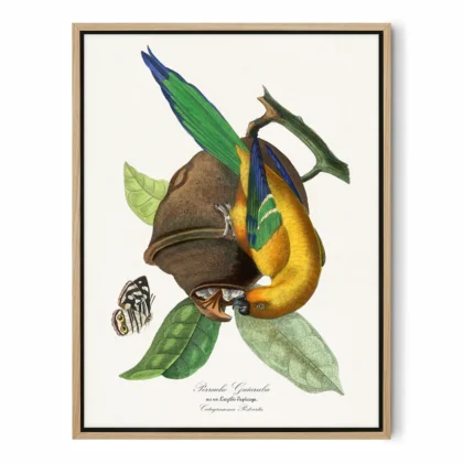 Vintage Tropical Bird Print by Paul Gervais
