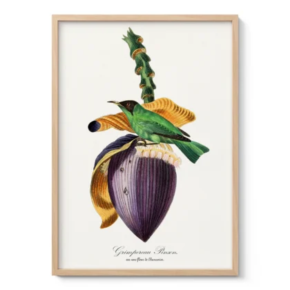 Vintage Tropical Bird Wall Art by Paul Gervais