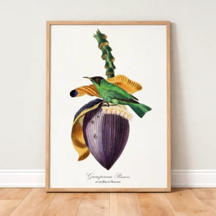 Vintage Tropical Bird Wall Art by Paul Gervais