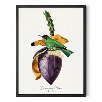 Vintage Tropical Bird Wall Art by Paul Gervais