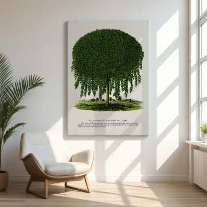 Vintage Weeping Willow Botanical Print