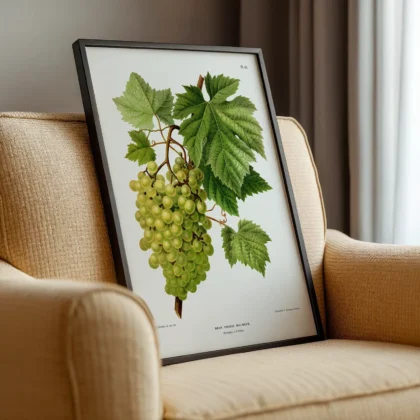 White Grapes Botanical Print by A. J. Wendel
