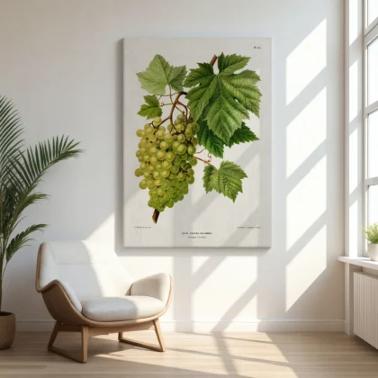 White Grapes Botanical Print by A. J. Wendel