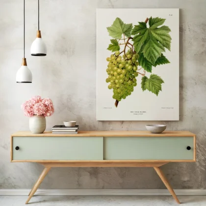 White Grapes Botanical Print by A. J. Wendel
