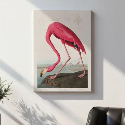 Audubon - Pink Flamingo from Birds of America Print