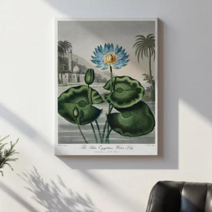 The Blue Egyptian Water Lily Print