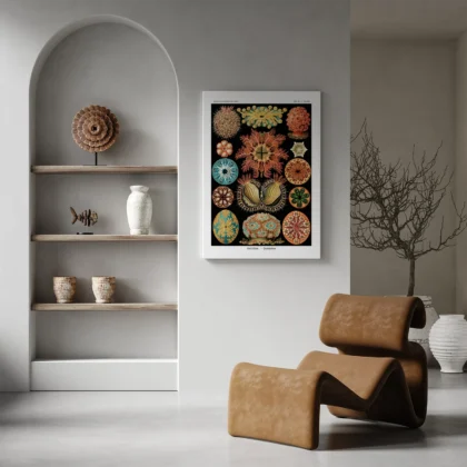 Ascidiae Wall Art by Ernst Haeckel