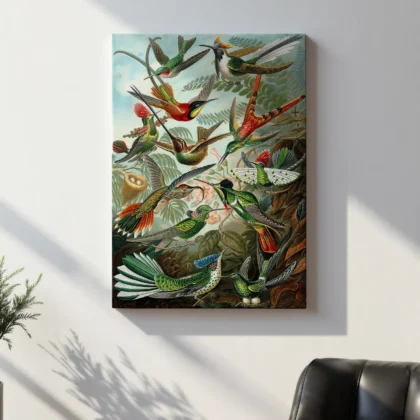 Birds of Paradise Wall Art by Ernst Haeckel