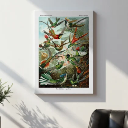 Vintage Birds Wall Art by Ernst Haeckel