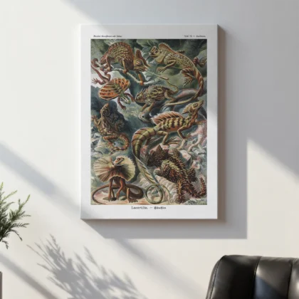 Reptiles Wall Art by Ernst Haeckel