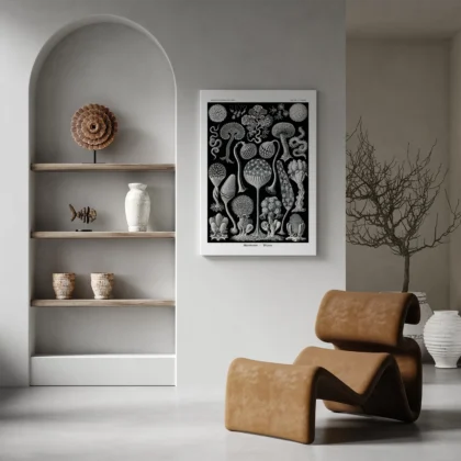 Mycetozoa Wall Art by Ernst Haeckel