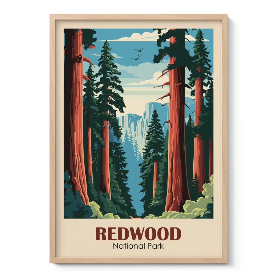 Wandbild – Redwood-Nationalpark