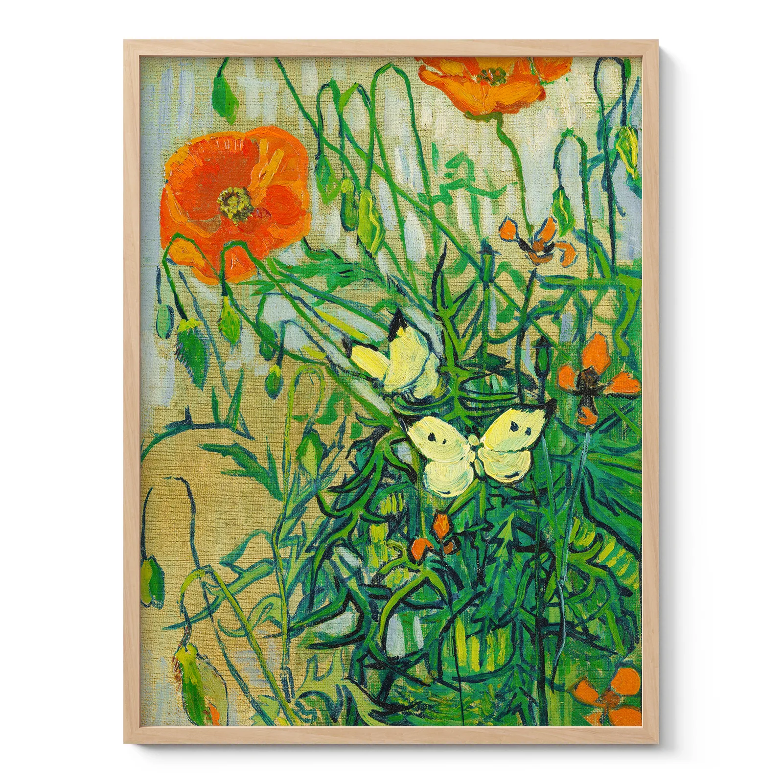 Vincent van Gogh paveikslas – Drugeliai ir aguonos