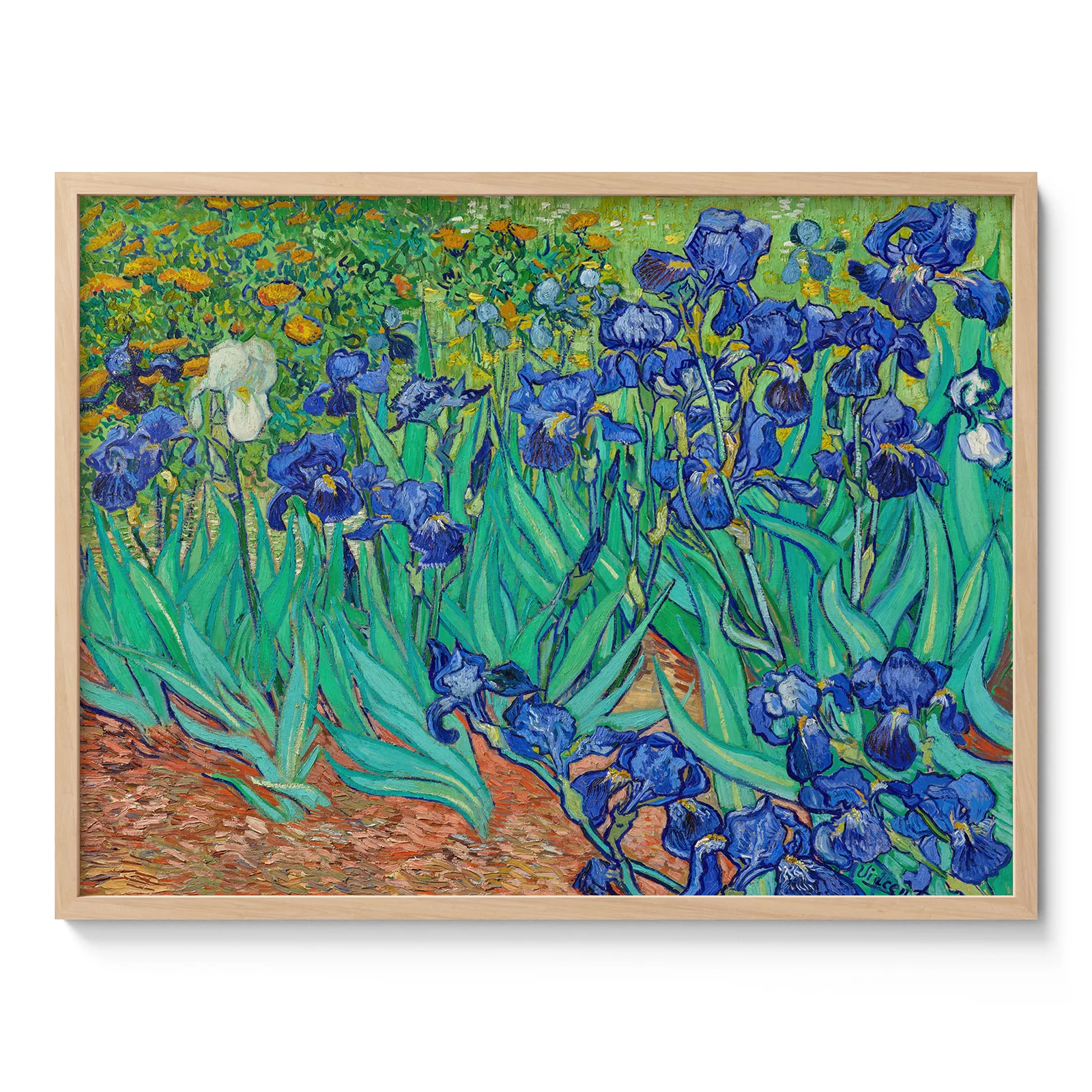 Vincent van Gogh Wall Art – Irises in the Garden