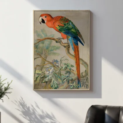 Vintage Parrot Print – Scarlet Macaw Poster