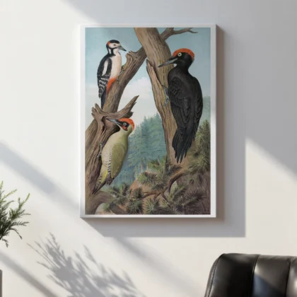 Woodpecker Print – Vintage Bird Illustration Poster
