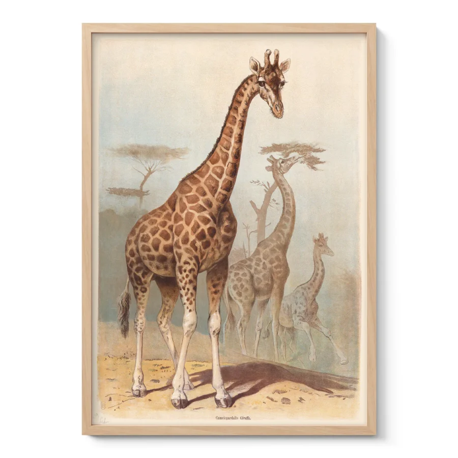Giraffe Print – Vintage African Safari Poster