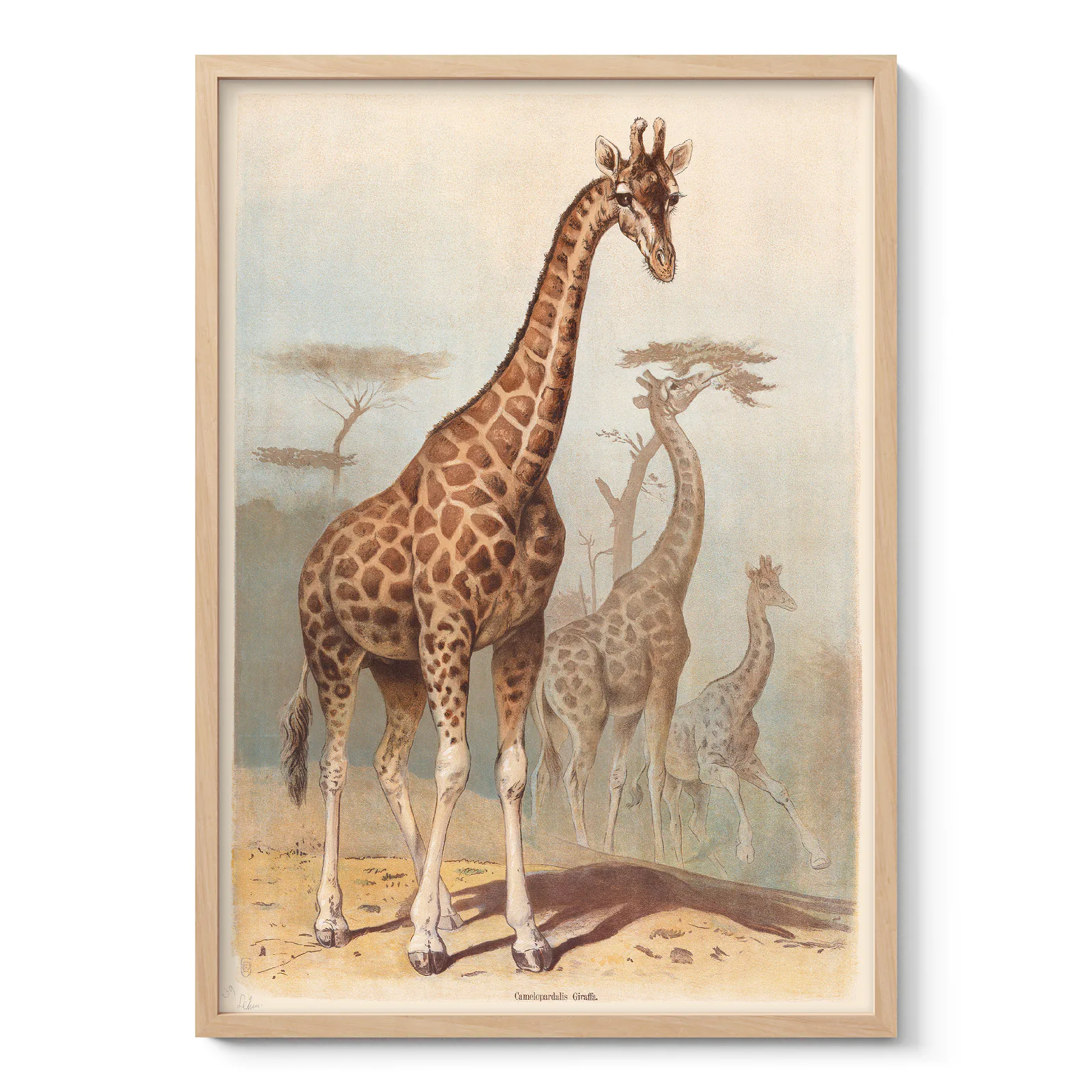 Giraffe Print – Vintage African Safari Poster