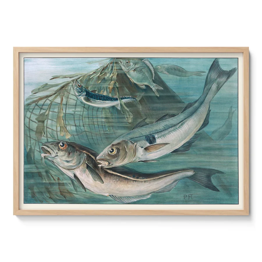 Vintage Mackerel Fish Print – Nautical Wall Art Poster