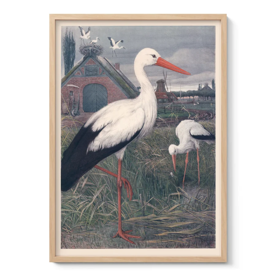 Stork Poster – Vintage Bird Wall Art