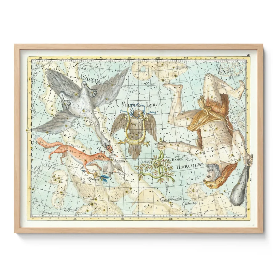 Wandbild – Sternbild Schwan