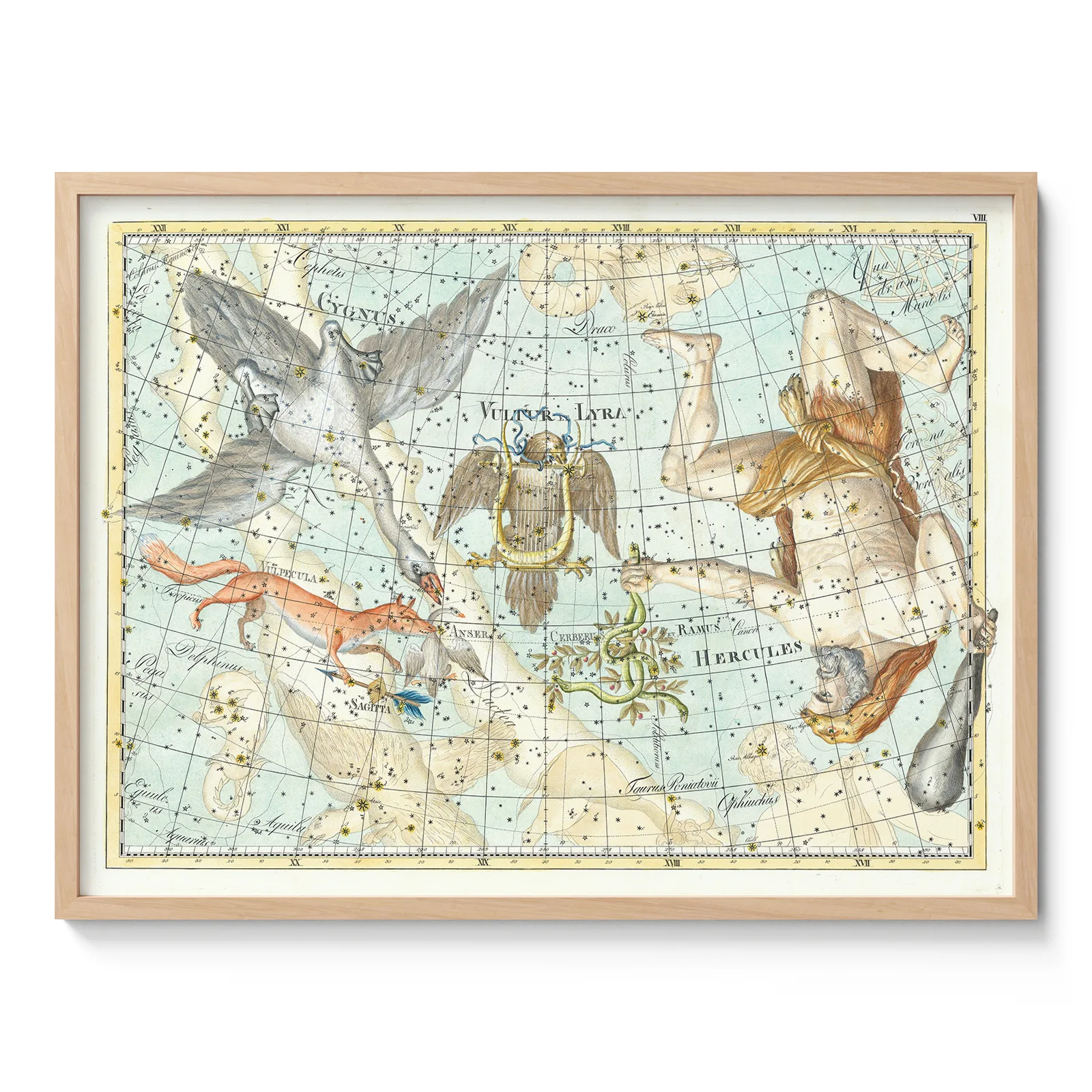 Wandbild – Sternbild Schwan