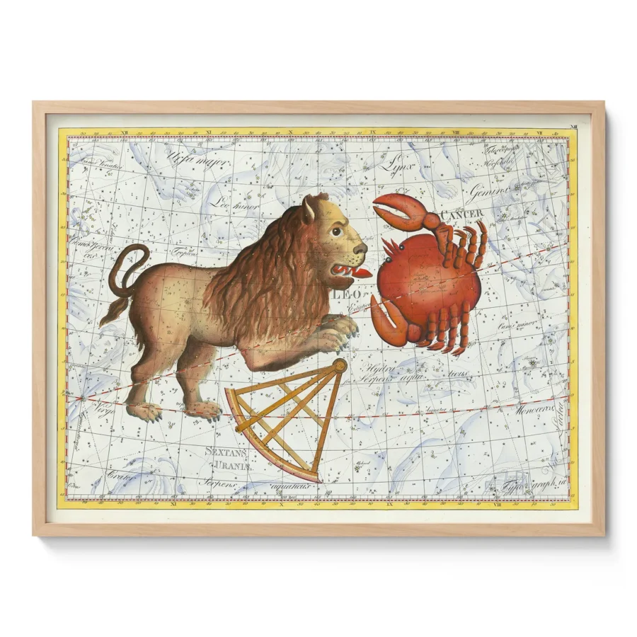 Wandbild – Sternbilder Löwe und Krebs