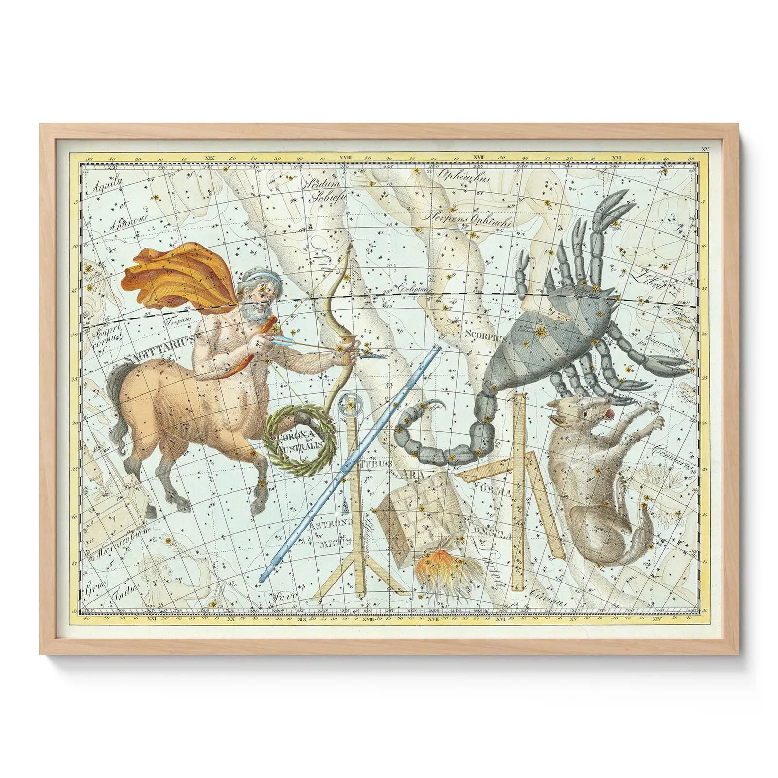 Scorpio and Sagittarius Constellation Wall Art