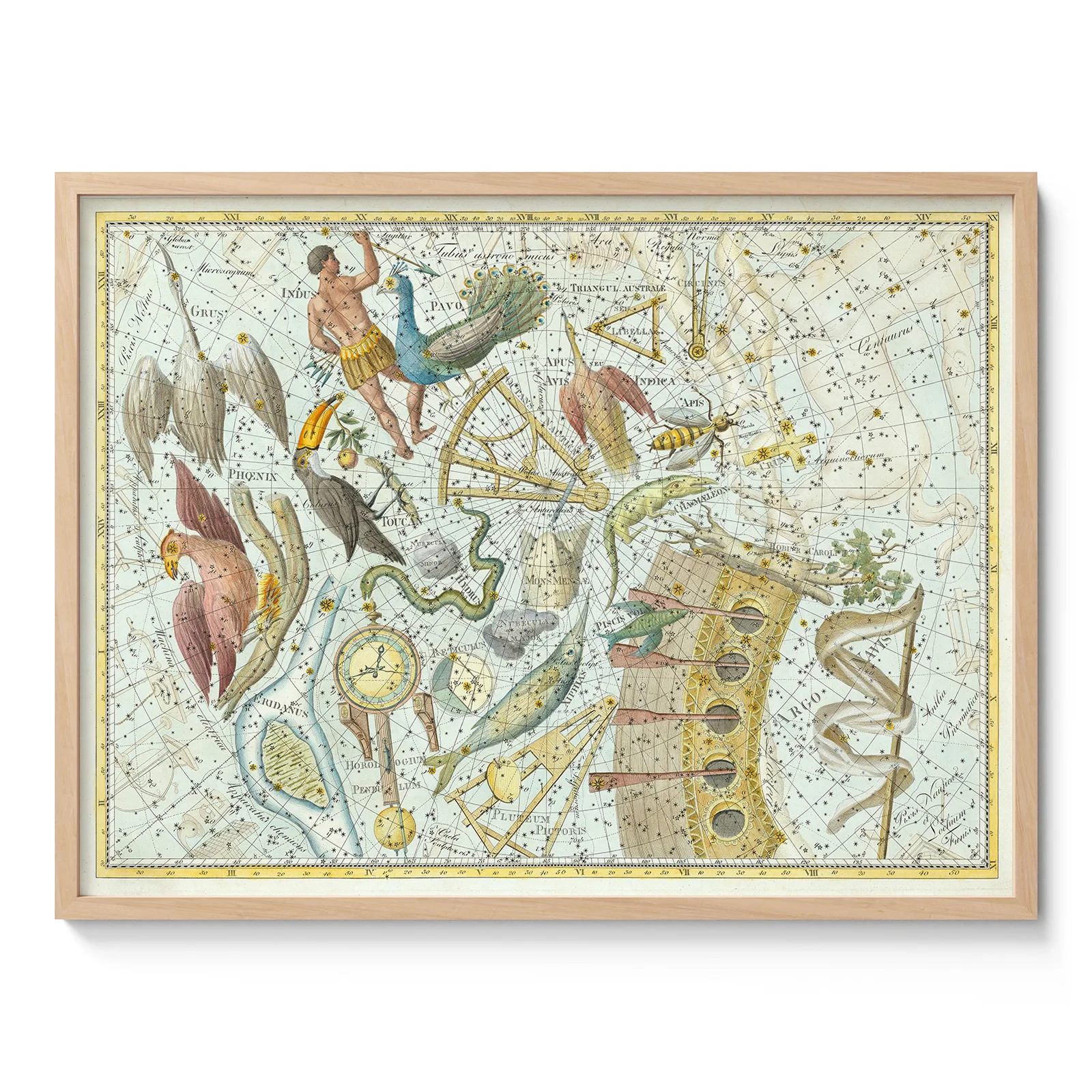 Phoenix Constellation Wall Art